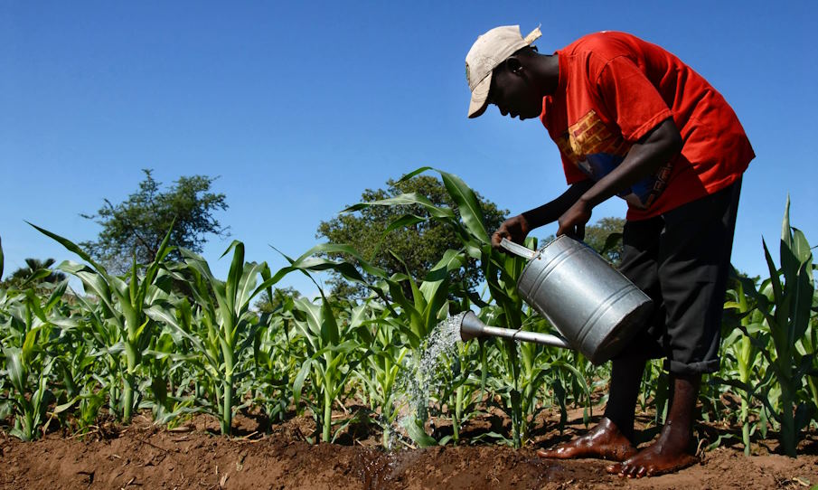 effective soil conservation practice