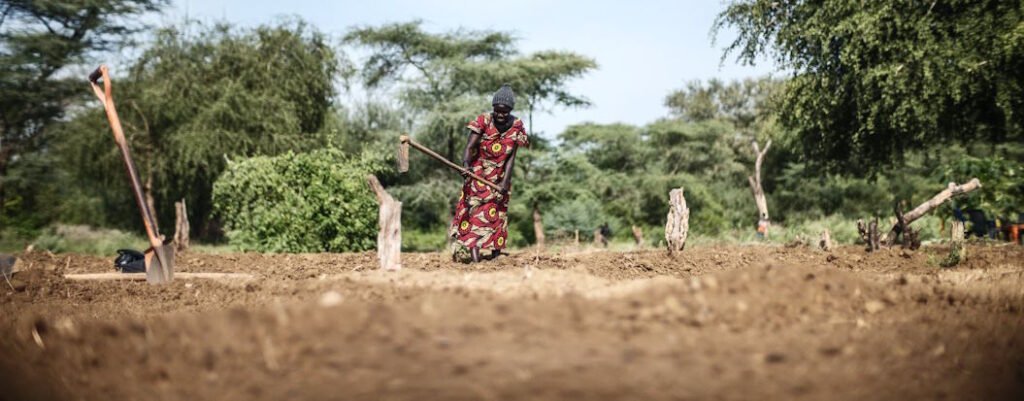 Best Practices for Soil Conservation in African Farming